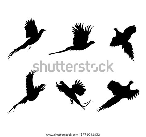 Set Flying Pheasants Vector Black Silhouettes Stock Vector (Royalty ...