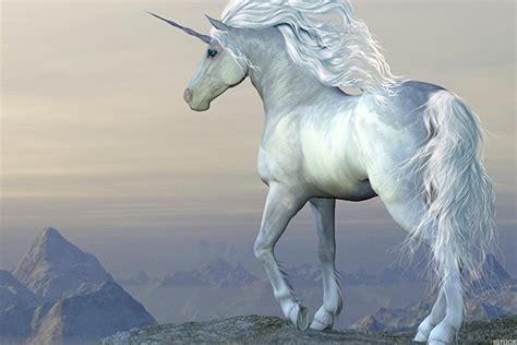 Unicorn - Description, History, Stories & Interpretations | Mythology.net