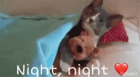 Teddy Bear Night Night GIF - TeddyBear NightNight Kitten - Discover ...