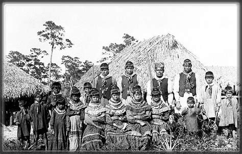 Seminoles | Seminole tribe, Native american history, American indian history