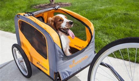 The Best Dog Bike Trailers - Buyer's Guide | PupTraveller