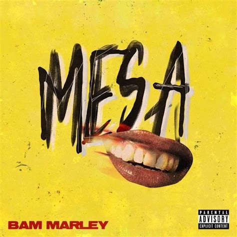 Daniel Bambaata Marley - M.E.S.A. Part 1 Lyrics and Tracklist | Genius