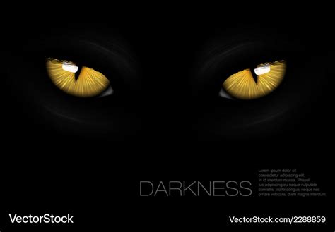 Cat eyes in darkness Royalty Free Vector Image