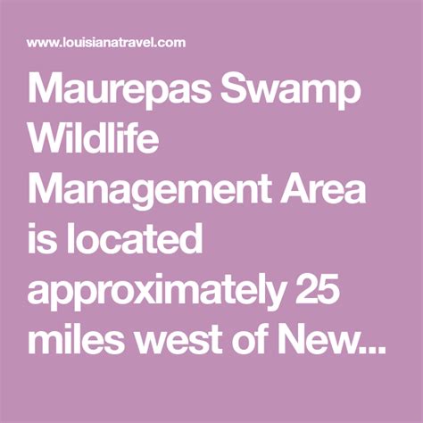 Maurepas Swamp Wildlife Management Area | Swamp, Wildlife, Freshwater fish