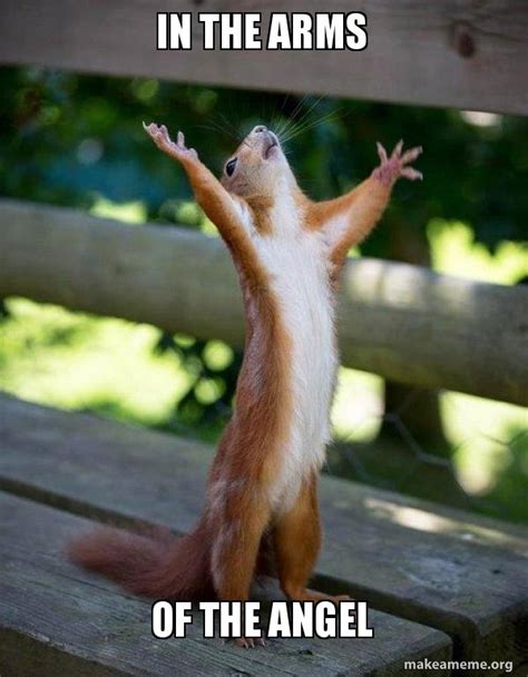 in the arms of the angel - Happy Squirrel Meme Generator