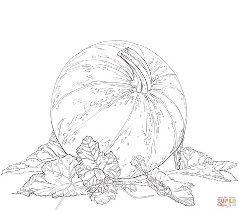 Pumpkin with Leaves | Leaf coloring page, Pumpkin coloring pages, Super coloring pages