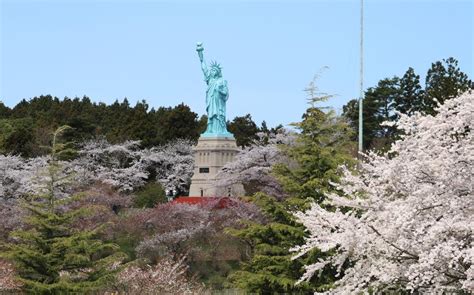 VIDEO: Cherry blossoms enter full bloom near Misawa AB providing stunning spring view | Stripes ...