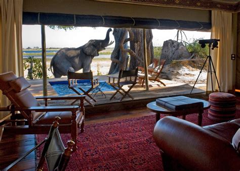 Best of South Africa & Botswana: Luxury African Safari, Victoria Falls ...