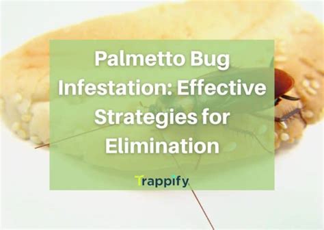 Palmetto Bug Infestation: Effective Strategies for Elimination