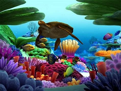 Coral Reef Screensavers & Wallpaper - WallpaperSafari