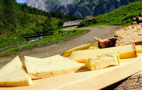 Austrian Cheeses: 16 Cheese Types in Austria | TasteAtlas