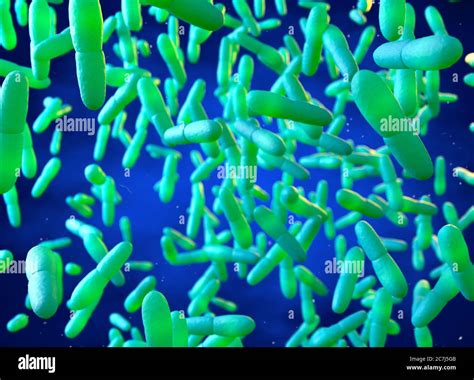 Leprosy hi-res stock photography and images - Alamy