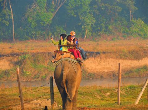 Chitwan Jungle Safari | Adventure White Mountain