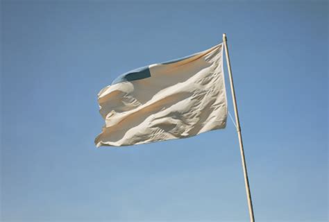 Beige Flags: Despite What TikTok Tells You, You Don't Want to Raise Them