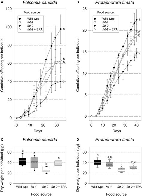 Frontiers | Nematodes as Important Source for Omega-3 Long-Chain Fatty Acids in the Soil Food ...