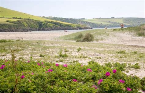 Par Sands Beach | Cornwall Beaches