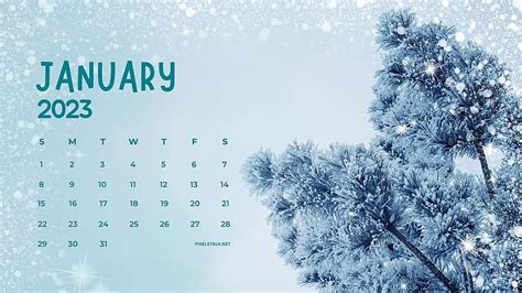 January Calendar 2023 Background, HD wallpaper | Peakpx