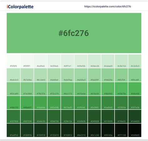 Soft Green information | Hsl | Rgb | Pantone