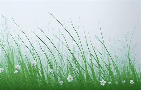 White and grass background, White background 26801507 Stock Photo at ...