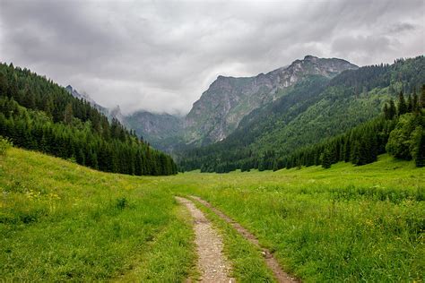 Mountain Path Photograph by Pati Photography