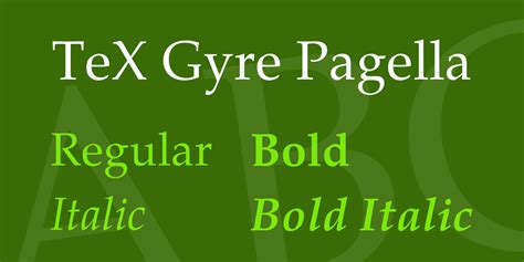 TeX Gyre Pagella Font Family · 1001 Fonts