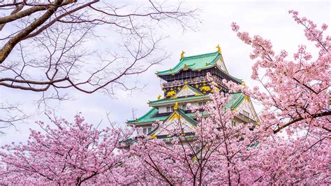 10 Best Places To See Cherry Blossoms in Osaka