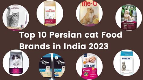 Persian Cat Food Price in India 2024 - White Persian Cat