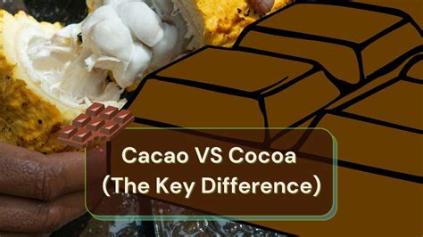 Cacao VS Cocoa - What's The Difference? And Why It Matters