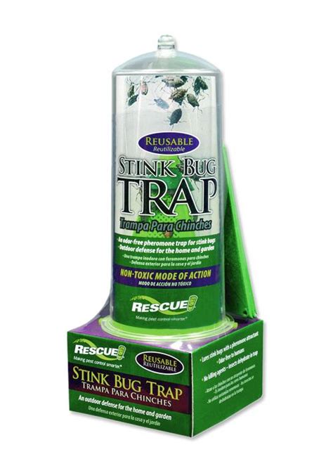 17 Best images about stink bug traps on Pinterest | Indoor, Bug insect ...