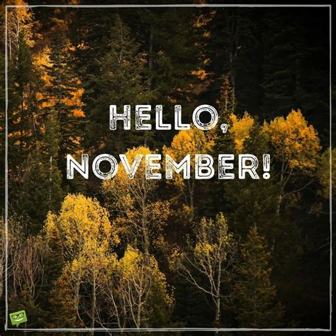 Hello, November! | The Month of Gratitude | Hello november, November wallpaper, Hello july