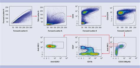 NK cells (mouse) | MACS Handbook | Resources | Miltenyi Biotec | Deutschland