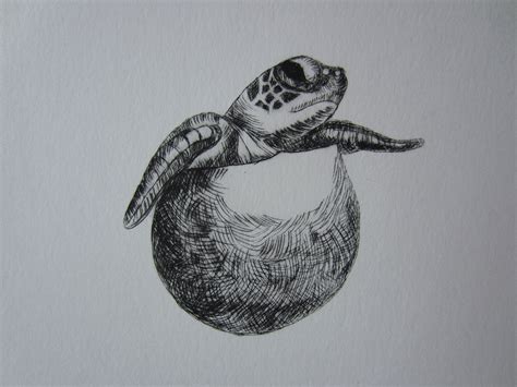 Turtle - My drypoint etching | Graphic art, Drypoint, Printmaking