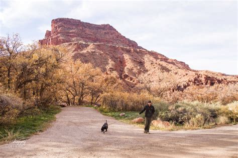 Big Bend Campground on the Colorado River in Moab, Utah | Two Happy Campers