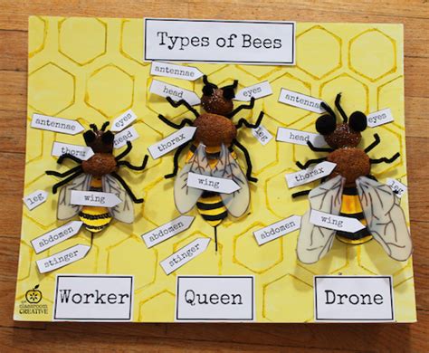 bee craft idea for kids Bee Crafts For Kids, Bees For Kids, Different Bees, Bee Activities, Bugs ...