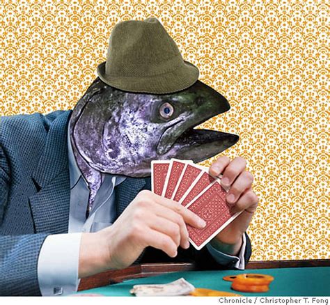 What Is A “FISH” In Poker? by Cheese Stakes Poker | by CheeseStakesPoker | Aug, 2023 | Medium