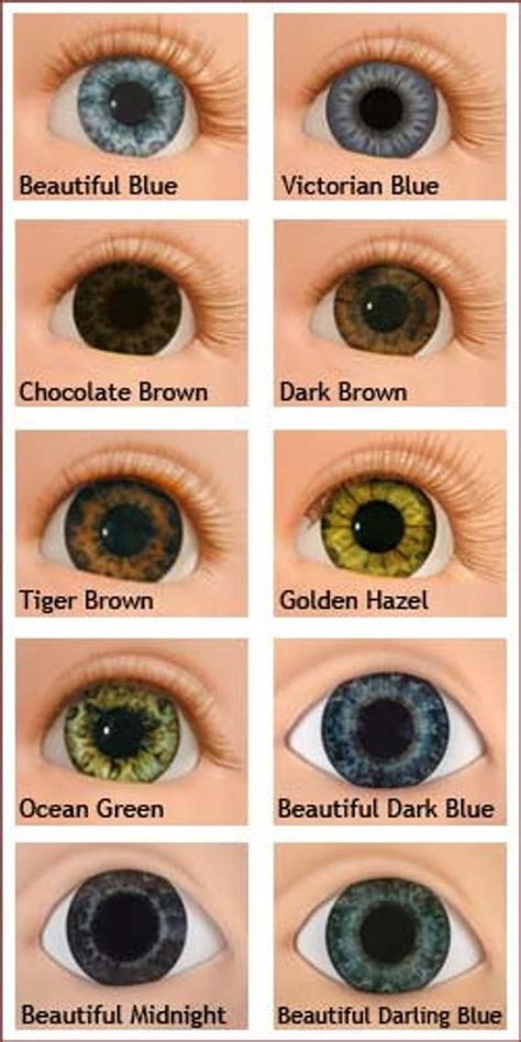 behind these hazel eyes adelaide city optometrist all about the human - 8 best eye color chart ...