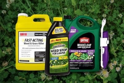 5 Best Broadleaf Weed Killer And Herbicide | How To Use Them