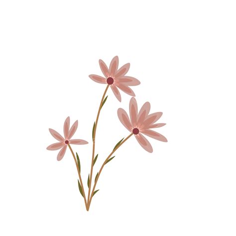 Aesthetic Flowers Png Isolated Image Png Png Images I - vrogue.co