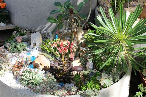 Very cool succulents in this! | Cool succulents, Fairy garden, Family ...