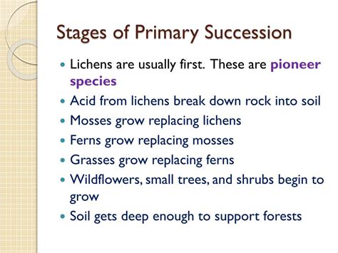 Primary Succession Flowchart