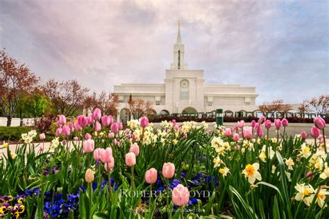 Bountiful Temple Tulips. Robert A. Boyd Fine Art and LDS Temples