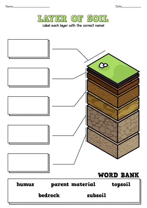 Types Of Soil Worksheets