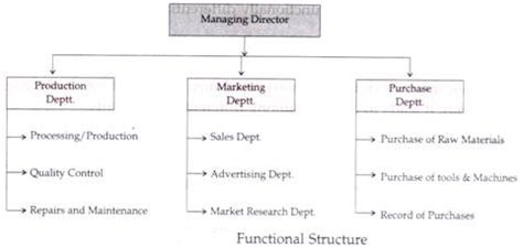 Organisational Structure: Functional Structure and Divisional Structure