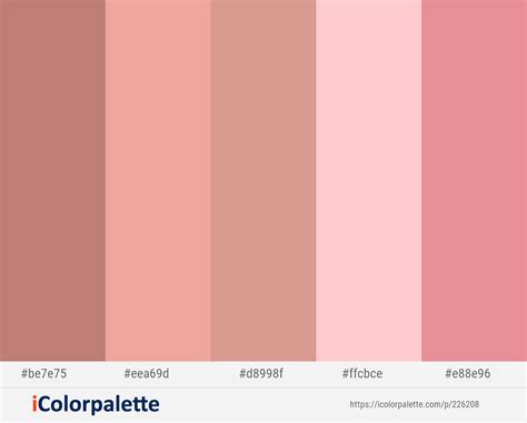 Old Rose - Sea Pink - Petite Orchid - Pink - Sea Pink Color scheme