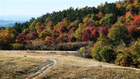 Autumn Colors From Buda Hills & Pilis Mountains – Our Wanders