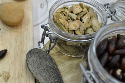 Are Baru Nuts a New Superfood? - Facty Health