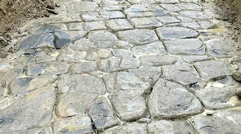 2,000-Year-Old Roman Road Uncovered in British Field is Like No Other–And of 'Global Importance'