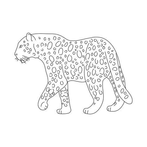 Premium Vector | Leopard in line art drawing style Vector illustration