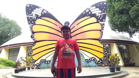 Butterfly Park at Bannerghatta National Park, Bangalore, India - Akilesh Arun Kumar B - YouTube