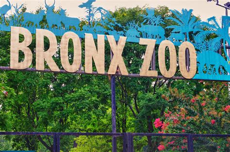 Bronx Zoo Parking: All You Need to Know to Find the Best Spots